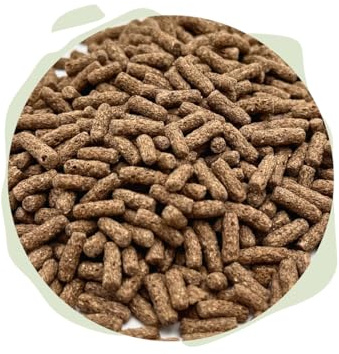 Warnick's Naturhäppchen Schildkrötenpellets - 1 Liter | Naturfutter für Schildkröten & Teichfische - Ausgewogen & nährstoffreich - Hauptfutter für Wasserschildkröten