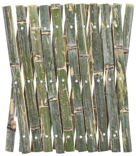 FUTUREORYY Recinzione in Bambù Estensibile per Giardino e Cortile Supporto Piante Rampicanti Regolabile per Orto e Spazi Esterni Steccato Decorativo Retrattile per Giardino e Patio
