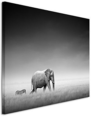 Paul Sinus Art XXL Fotoleinwand 120x80cm Tierfotografie – Elefant und Zebra auf Leinwand exklusives Wandbild moderne Fotografie für ihre Wand in vielen Größen