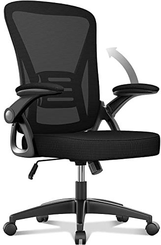 naspaluro Office Chair Ergonomic Desk with 90° Flip-up Armrest Lumbar Support, Height Adjustable Chair, Executive Swivel Computer Padded Seat Cushion for Home/Office