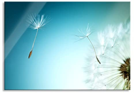 Pixxprint Glasbild, Wandbild aus Echtglas, Löwenzahn Pusteblume, 60x40 cm, inkl. Aufhängung und Abstandshalter