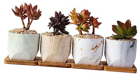 VICASKY Teiliger Keramik-blumentopf Für Sukkulenten Mit Blumentopf Pflanze Für Fensterbänke Und Arbeitsplatten Kreativer Haushalts-blumenbehälter