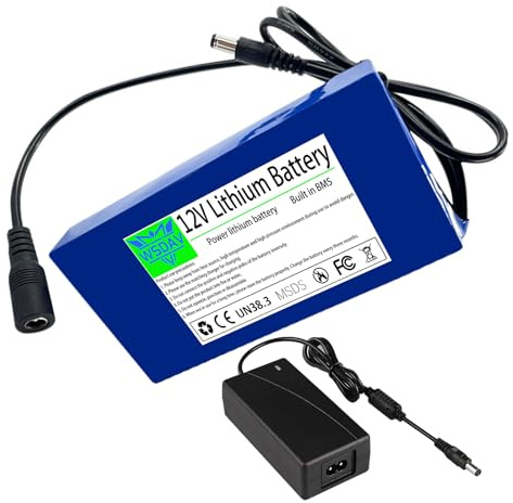 WSDAV Batería de Litio de 12 V y 24 V, 10,8 Ah, Repuesto para Motor de 150 W y 250 W con Cargador.,12v10.8ah
