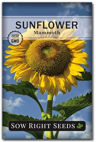 Sow Right Seeds - Mammoth Sunflower Seed for Planting Giant Flower Garden