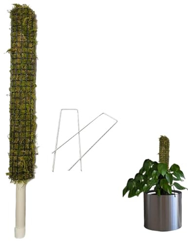 Monstera - Bastone di Muschio autoirrigante Realizzato a Mano, Supporto per Traliccio per Piante rampicanti, Pali per Piante in Vaso, di sfagno, per la Crescita delle Piante da Interno