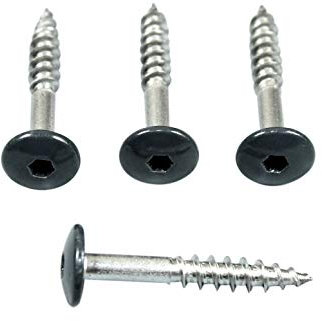 SN-TEC Fassadenschrauben Rostfrei Edelstahl V4A 5,5 x 55 mm, Anthrazit Pulverbeschichtet RAL 7016 mit Torx T20 Aufnahme (Mengenauswahl möglich) (10) (25)