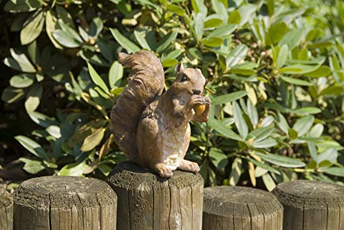 Benelando Gartenfigur Eichhörnchen Figur Dekofigur Gartenfigur Dekoration Tierfigur Garten