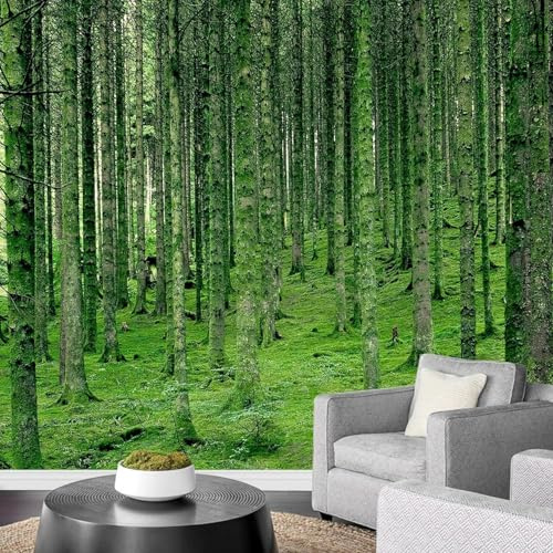 Fotomurales Decorativos Bosque Papel Pintado 300x210 cm 3D Mural Naturaleza Murales Póster Pared No Tejido Dormitorio Salón Paredes Decoración Fotomural Panorámico q.5933