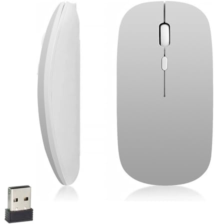 iSTYLE Souris Bluetooth sans Fil – Souris sans Fil silencieuse 1600 DPI réglable, Bluetooth 5.2, légère et Ergonomique, Compatible avec téléphone, Ordinateur, Tablette (Pile AA requise)