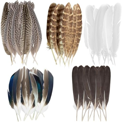 Vimmvid 50 Stück Perlhuhnfedern Zum Basteln, Fasanenfedern Dekorationen, Federn Groß, Gemischte Gefleckte Bastelfedern Basteln für DIY Ostern Dream Catcher Maske Hüte Hochzeitsfeier