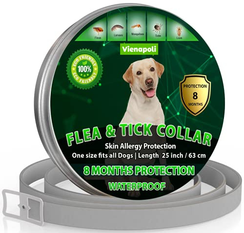 Collar Ajustable para pulgas y garrapatas para Perros pequeños, medianos y Grandes | Impermeable | Tratamiento de pulgas | Protección hasta 8 Meses | 100% Natural Bio Organico