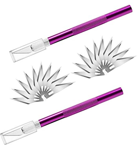 Cutter di Precisione Set,2 Coltello da Intaglio con 20 Lame di Ricambio,Cutter Bisturi con Tappo di Protezione per Arte Hobby Scrapbooking Stencil Modellismo (Viola)