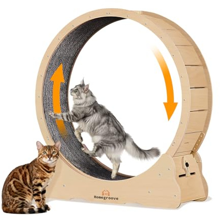 Homegroove XXXL Katzenlaufrad, 59 /150cm Extra große Katze Übungsrad für Maine Coon & große Katzen - Wirbelsäule Ausrichtung Design, Massivholz Katze Laufband (Natural Wood Color, 3XL)