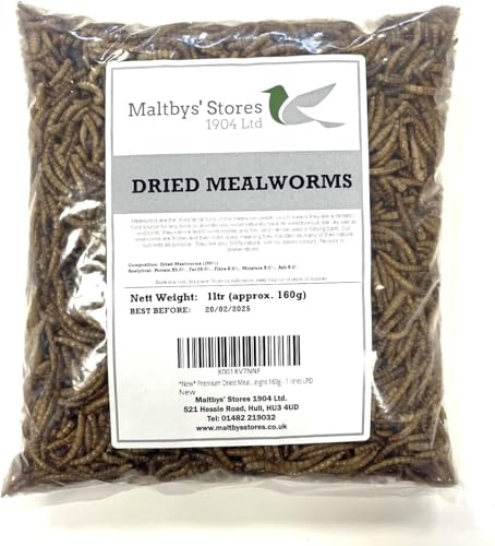 Premium Dried Mealworms, 4L Bag Wild Bird Food MCW