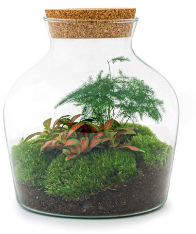 Exotenherz Flaschengarten Little Joe - DIY-Pflanzenterrarium - 21,5 cm - incl. Rechen und Schaufel