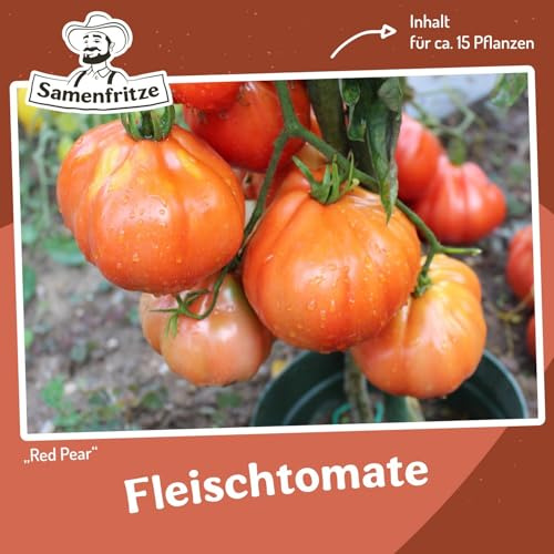 Red Pear Tomatensamen