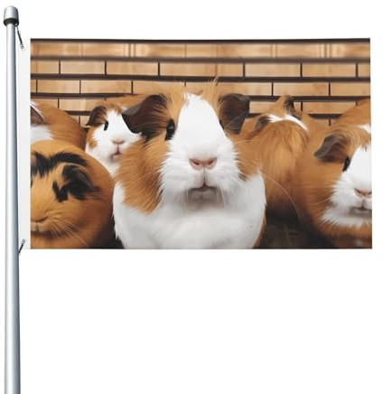 Drapeau de 90 x 152 cm double face pour décoration d'extérieur, drapeau de cochon d'Inde, drapeaux de jardin lourds 200D, œillets en laiton, bannière extérieure pour les vacances