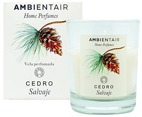 Sevenreeds Bougie parfumée en cèdre sauvage, parfum Ambientair Home, parfum cèdre, bougie parfumée pour maison, aromathérapie, bougie en verre pour intérieur, durée de vie 30 heures