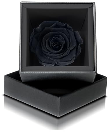 Aluisi Fiori Rosa Stabilizzata Nera in Cofanetto Nero - Rosa Stabilizzata Vera - Rosa Eterna - Fiore Stabilizzato - Fiori Stabilizzati - Simbolo di Mistero ed Eleganza - Idea Regalo