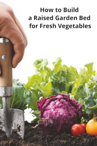 How to Build a Raised Garden Bed for Fresh Vegetables