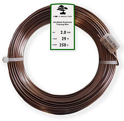 Grow A Bonsai Tree Eloxiertes Aluminium 2,0mm Bonsai Draht 250g große Rolle (95 Feet) - (2,0mm, Braun)
