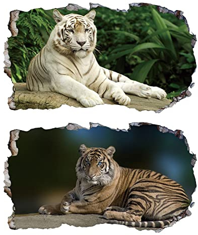 Chicbanners 2Pcs Wandtattoo Tiger Tiere Wildlife 3D Effekt XXL V016 Wandsticker Fenster Wandaufkleber für Kinderzimmer Junge Mädchen Groß 900mmx580mm