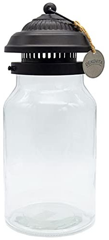 Dekovita Terrario in Vetro con Coperchio - 5L Dekoglas Vetro - Vaso Fiori Bottiglia fai da te