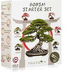 VEGETALIUS - Kit complet de 6 Bonsai avec graines & accessoires - Fabriqué en France - Idée coffret cadeau original pour femme & homme pour votre intérieur ou jardin ! Idéal pour Noël ou Secret Santa