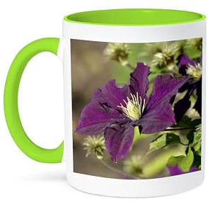 3dRose Garden Flowers - Purple Clematis - Inspired Floral Print 11oz Two-Tone Green Mug