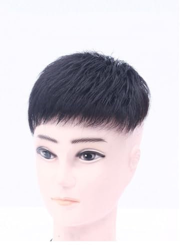 BeLongsYou Herrenperücke Kurzes Haar Toupet Schwarzes Haar Ersatz System Kopf Oberteil Echtes Haar Tägliches Tragen, Clips-On Perücke Haar Patch Für Männer,Short,16x18cm