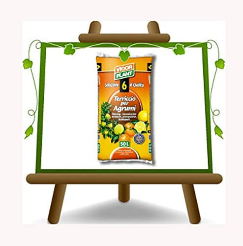 EURO PLANTS VIVAI Terreau pour agrumes - Vigor Plant - 45 L - Terreau formulé pour satisfaire les spécificités des agrumes