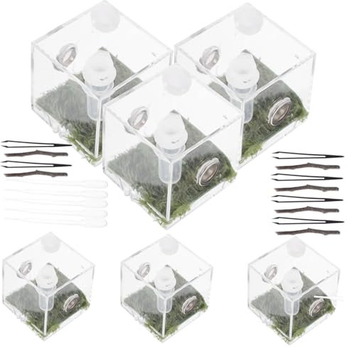 BUGUUYO Acryl Springspinne Aufzuchtbox Satz Kleines Transparentes Fütterungsbehälter Mit Belüftung Reptilien Und Insektenzucht Leicht Und Kompakt Für Terrarium Und Haustierhaltung