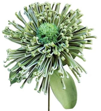 artplants.de Künstliches Nadelkissen Protea ISLARTINA, grün-blau, 75cm - Schaumstoff Protea