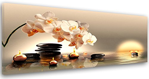 Feeby Impression sur Toile Fleurs Orchidée 120x40 cm 1pièce Tableaux Imprimée Image Photo Moderne Décoration Murale Artistique Photographie Design Cuisine Salon Chambre à coucher Zen Spa Beige