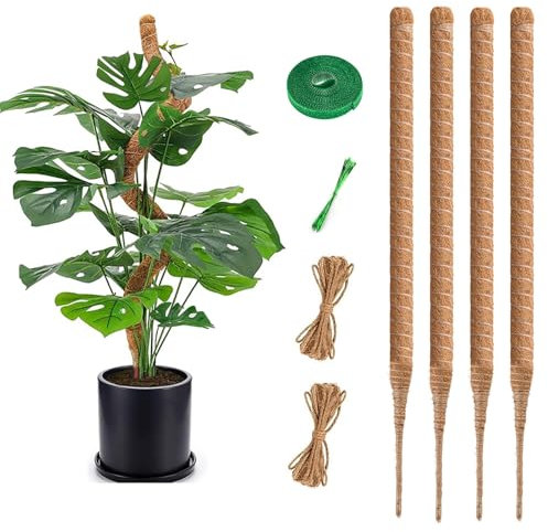 RYHX 64CM Palo per Piante,Palo di Muschio Pieghevole per Piante,Bastoni per Piante Rampicanti per Piante da Interno con Legami con Le Piante,Etichette per Piante,Corda di Iuta(4×64CM)