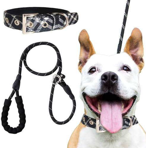 DKDDSSS 2 Stück Hundehalsband und Leine Set, Verstellbares Hundehalsband, Hundeleine mit Bequemen Gepolsterten Griff, für Mittlere Große Hunde, Schwarz