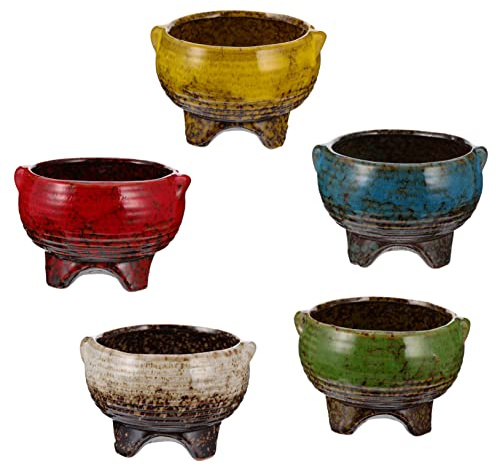 Toddmomy 5piezas Maceta para Suculentas De Cerámica Decoración De Plantas y Flores para Jardinería y Macetero