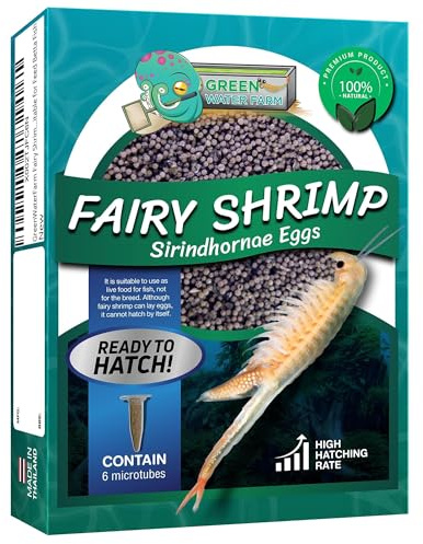 Greenwaterfarm [Fairy Shrimp Sirindhornae Eggs] Kiemenfüsser Sirindhornae Eier; Lebendes Fischfutter zum Schlüpfen, geeignet zum Futtern für Kampffische