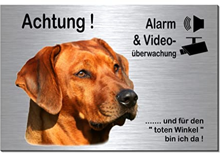 Rhodesian Ridgeback-Alarm + Videoüberwachung-Hund-Schild-Hundeschild-300 x 200 x 3 mm-Aluminium Edelstahloptik-Hunde-Tierschild-Warnschild-Hinweisschild (133-37 ohne Löcher)