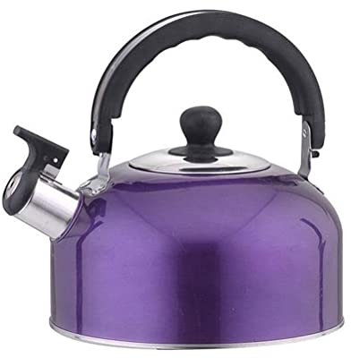shenruifa Bouteille sifflante en acier inoxydable de 3 L pour camping