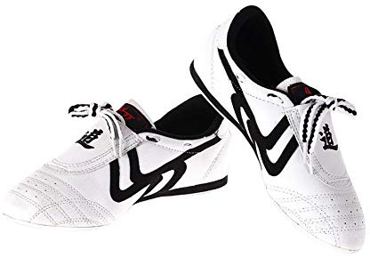 Taekwondo Shoes, Dobok Shoes for Training and Competition (40)