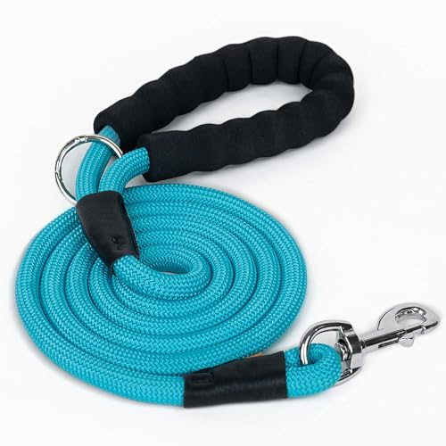 Aiminto Dog Leash, Braided Rope Traction – Walking Training Lead for Medium/Large Dogs ((1/2) - 6FT, Light Blue)