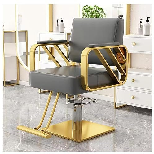 Friseurstuhl, verstellbarer Salonstuhl, höhenverstellbar, ideal für Friseursalons, Shampoo-Stationen und Tattoo-Studios – Multifunktions-Haarstylistenstuhl mit 360° drehbarem Drehgelenk