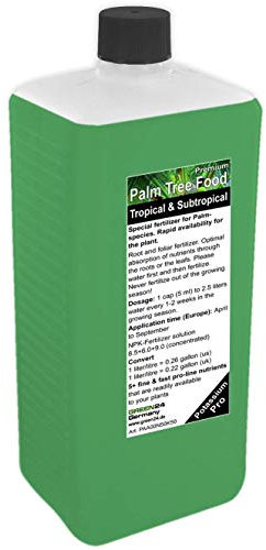 Engrais professionnel pour Palmier - Traitement HIGH-TECH