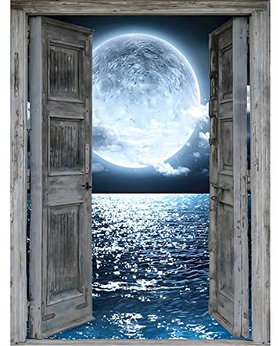 DPHERO Kit di pittura a forma di luna fai da te per adulti e bambini, 5D notte di luna, set fai da te con strass, per decorazioni per la casa, 30 x 40 cm