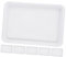 Garneck 6 Piezas Bandejas para Macetas Reutilizables para Plantas y Bonsáis y Tierra para Jardinería