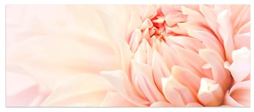 wandmotiv24 Leinwandbild Blume Blüte Dahlie rosa 120x50cm (BxH) M1130