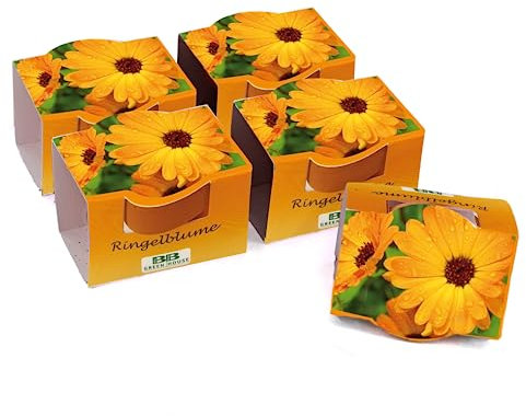 Bull & Bear 5er Set Mini Pflanzset mit Ringelblumen Samen im Topf 4,5cm, Ringelblumensamen als Anzuchtset mit Pflegeanleitung