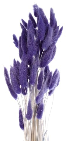 QUARKZMAN Hasenschwanzgras Getrocknet - Dunkelviolett, 60 Stück Getrocknete Blumen, 60cm Pampasgras Natürlicher für Florale Hochzeitsdekoration Weihnachten
