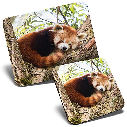 Mouse Mat & Coaster Set - Lesser Red Panda 23.5 x 19.6 cm & 9 x 9 cm for Computer & Laptop, Office, Gift, Non-slip Base #14217